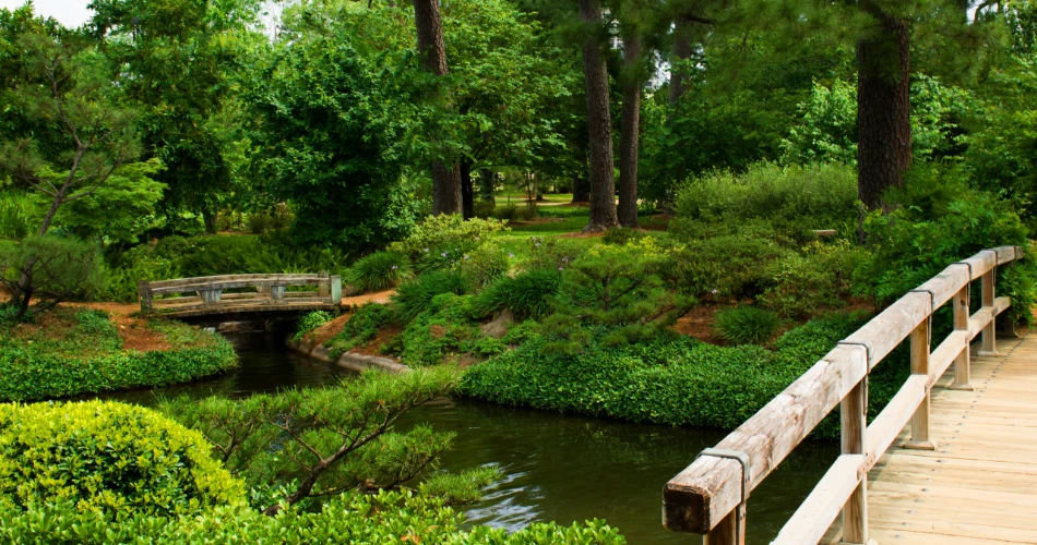 Mom’s Day Out: Houston’s Best Way to Spoil Your Supermom