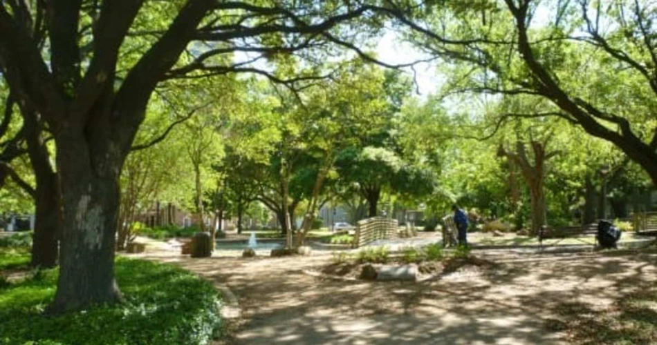 Your Go-To Guide for Houston’s Best Parks