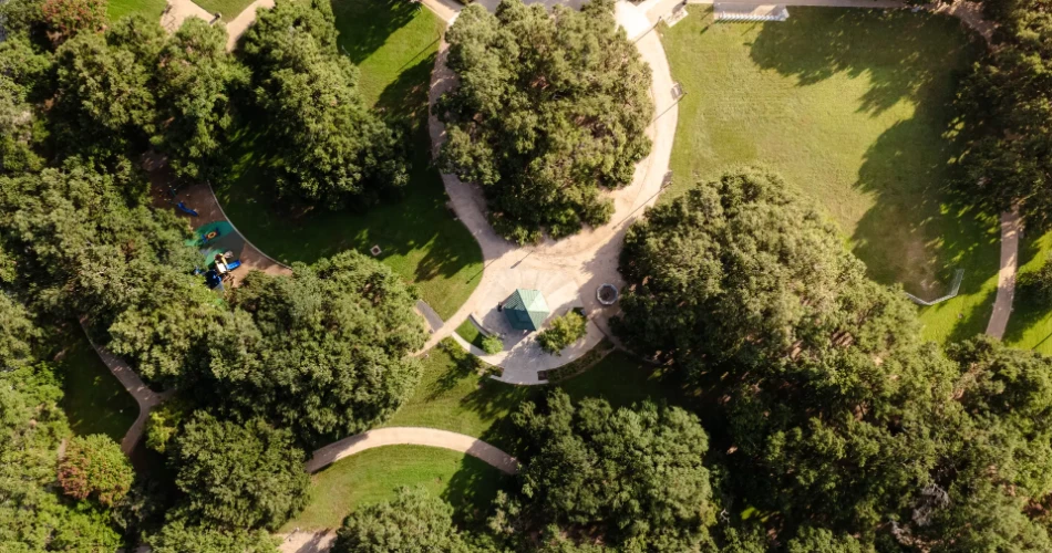 Your Go-To Guide for Houston’s Best Parks
