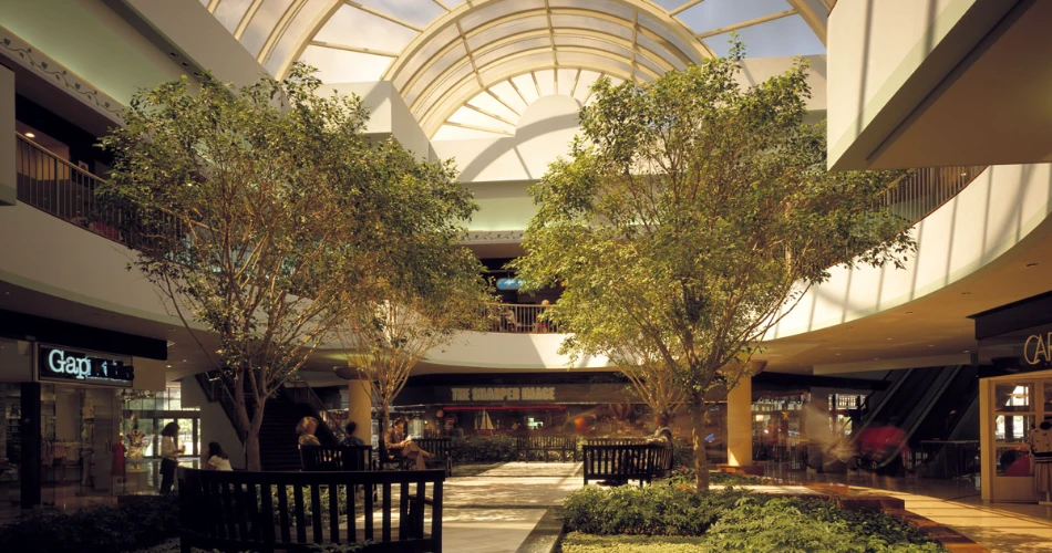 A Budget-Friendly Visit To Houston—Top 7 Finds!