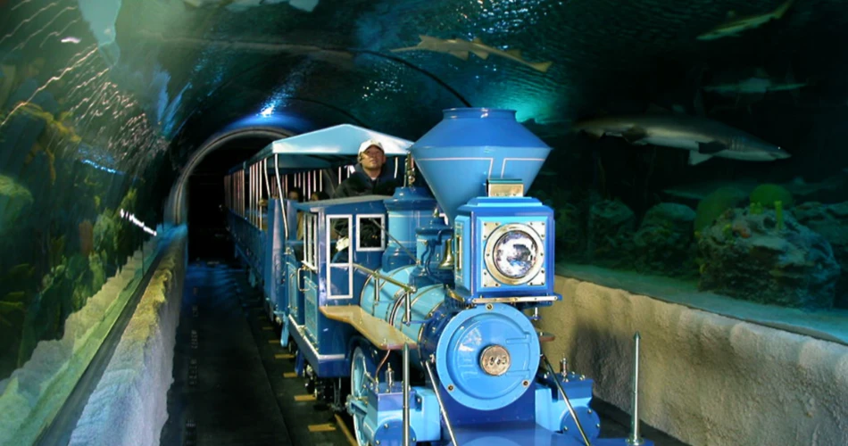 20 Tempat Hiburan Malam Terbaik di Houston