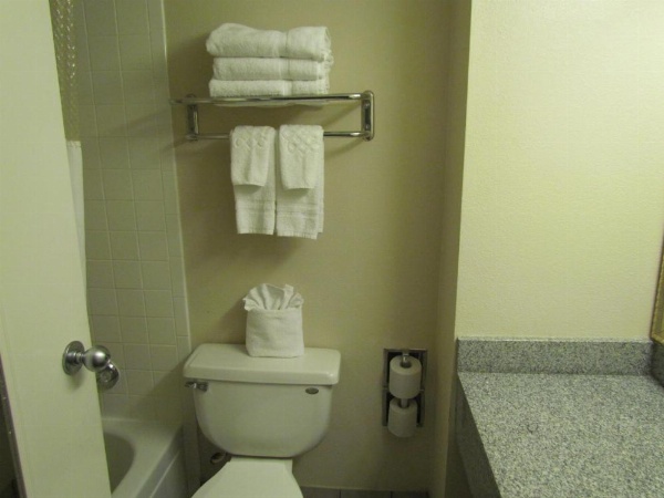 Romana Hotel - Houston Southwest image 10