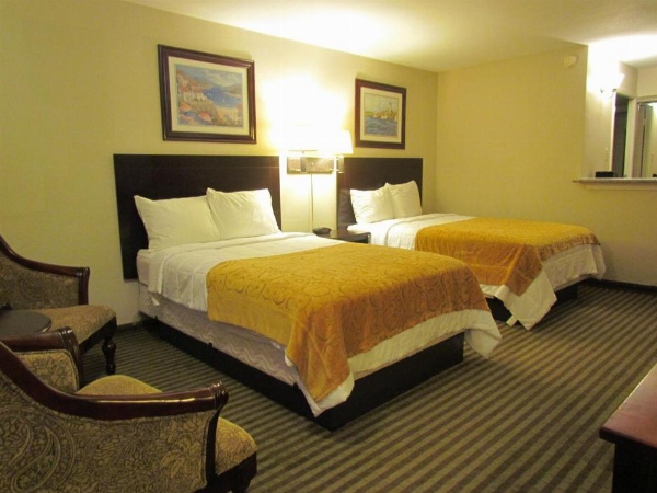 Romana Hotel - Houston Southwest image 7